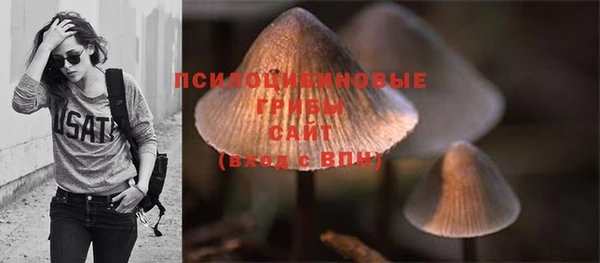 mix Алексеевка